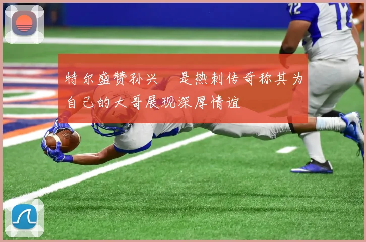 特尔盛赞孙兴慜是热刺传奇称其为自己的大哥展现深厚情谊